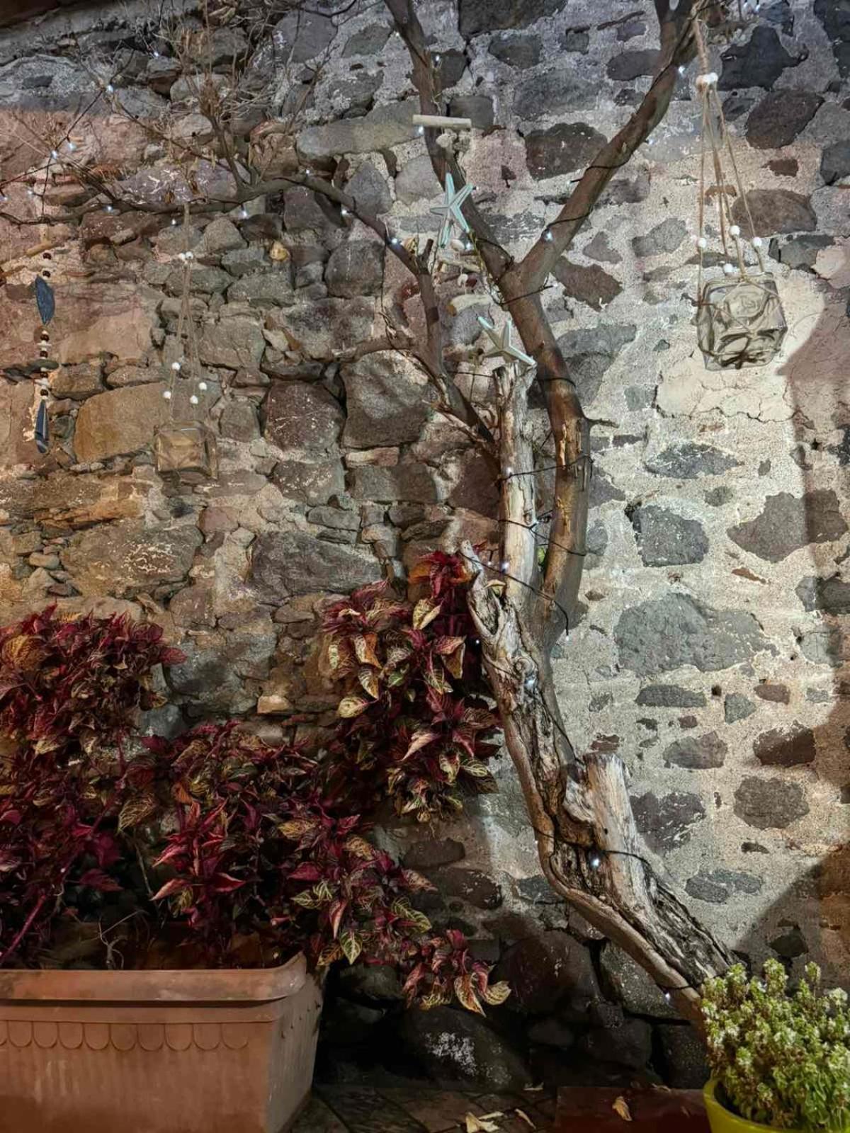 Afroditi'S 2 Eresós Exteriér fotografie